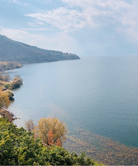 ˵߾Լݸɺ980סϣٿ޵