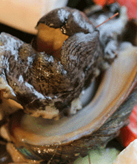 ����ı��㳬�ʻ�