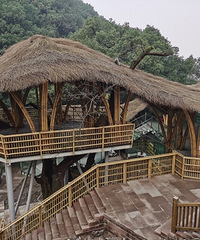 ȥ��������⣬�����Σ�������͵�ø���������