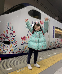 �����������������У����ɽС�𳵿���Ҷ�����