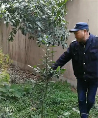 突发!今早杭州9岁男孩4楼坠楼,男孩当时还能站起,搀着走