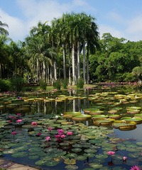 һ·ϣȫȥ˫ɣů֮ͥ