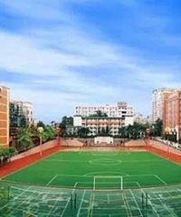 �����������������⣬������������ѧ�������ܣ����ǿ���