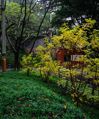 쿴ҹѵص㣬ȴǱĵر