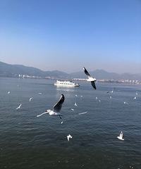 ��ĩ����ι�����ӡ���������������