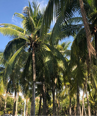 Ϊʲô��ô����ȥ������ܺ�������ȥ��5��������