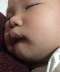 ޶ϲҧͣǰֻǰҧ˯ҲҪҧ˯