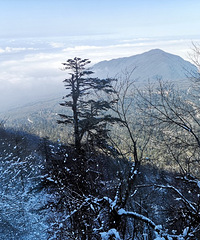 ڶüɽѩﲻԸ2.5ȥɽüɽ