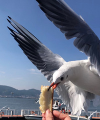 ĩȥɹ̫ιŸҶԷŸպ