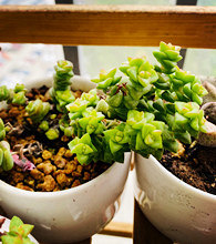 ���춬����������������