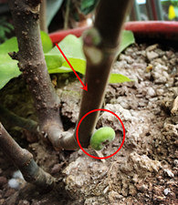 �ҵ��޻��������ǽ���ˣ�