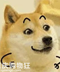 ��ը��ͳ�����ë�������������