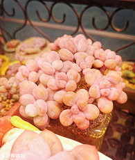 ����Ķ���������������