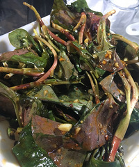 �Ҿ������ϱ��Ӿ��ǿ����Ȳݡ������۶���Ѳ��