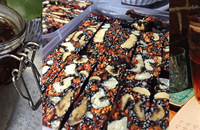 ů��������Ѫ����10���������������ղ�