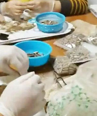 暗访胎盘加工场,差点吐了