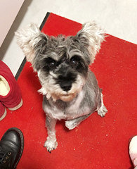 �山��·˭�ҵĹ��Ӷ���