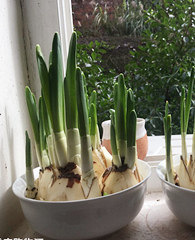 ��˵�ҵ�ˮ�ɻ�����������