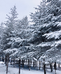 ˵�߾���ȥ���﹵ˣѩ��˳����ҵ���Ů���������