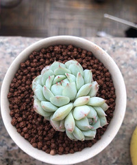 �ҵĶ����ٶ�����ÿһ�ö�״̬����