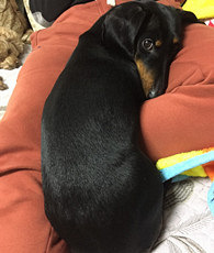 1�������������������