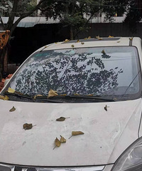 �������� ��������ġ������� �����𿴵ġ�