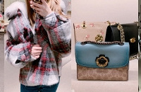 ʥڸԼһɣЩƷƶڴŶ