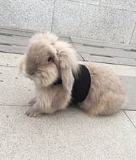 ���ŵ�ʱ��˭������С��Ů