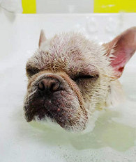 ����ֻ���˵ķ����ؼ�