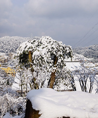 ңԶ�ļ���-2016��Ԫ����ɽ��ѩ