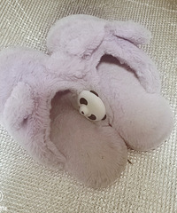 14.9ı׹̶ۣô̫˺û