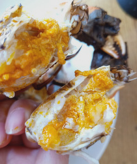 ���̽���з��˳����ʣ�ʥ���ھ��ܳ�