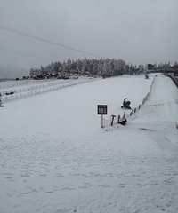 仙女山下起了大朵大朵的雪花,雪景里拍照美得冒泡