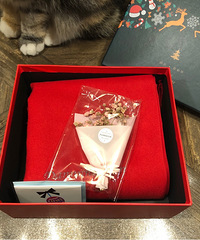 �����޴���Χ���յ������ɫ̫�ʺ�ʥ������