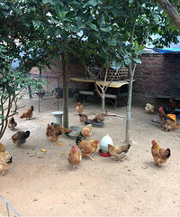 ȥϹÿ·ۺȲ裬ֱֲ˼