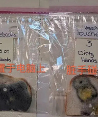 因为小朋友们经常不洗手,美国一位小学老师和孩子做了个实验