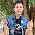 程序员型男等你来撩