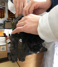 ��8������ȥ����ҽԺ������