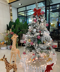 �򿨡���ű����桿 ɶ�������� ֻ������Ծ�����