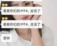 又一金融巨骗东窗事发