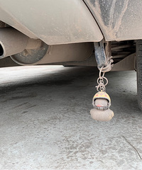 С��Ѽ����֪���Ҿ�����ʲô�������Ҽ��������ҵ�С��Ѽ��