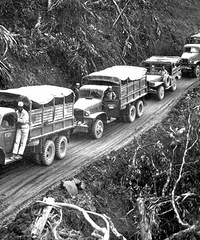 ���Ƿ�ȱһ�����У�ӭ���������ͱ�2019��