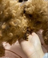 �����������Ŀ��������