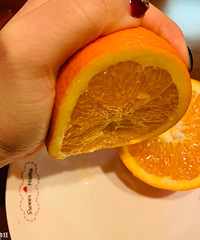 ʼĵɽŦɶˣݵĳζú