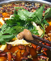 ��ˢ��ҷʳ�������ѵ�С��ԲҲ����̫������