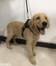 ����ô�Զ�����զ�죿