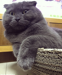 ������������ǲ�����