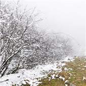 98����ȥ��Ůɽˣѩ