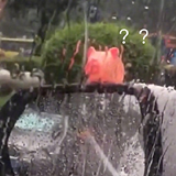 ����С��Ѽ���������