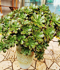 �����ʦ��״̬ʵ��̫��